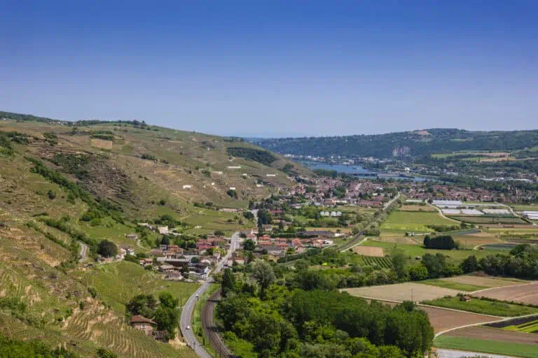 Condrieu View