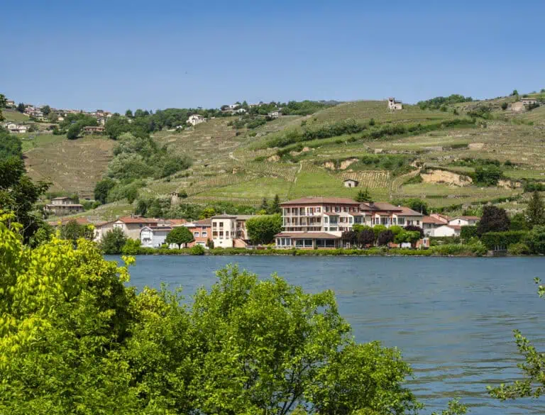 Condrieu View