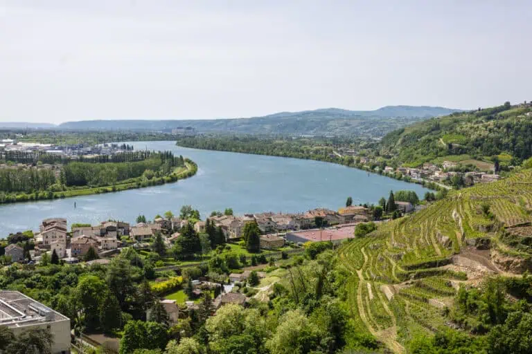 Condrieu View